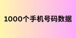 1000个手机号码数据